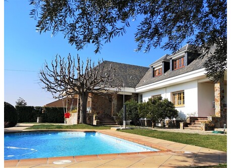 Garden and swimming pool