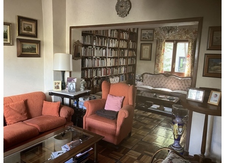 Living room with library