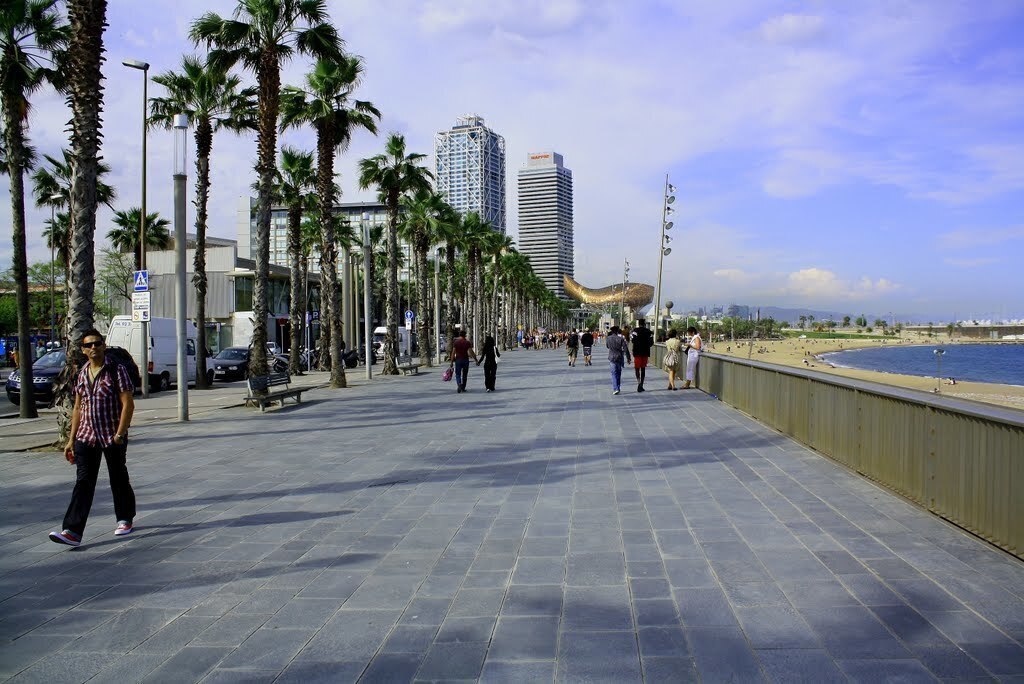 Olímpic Harbour. There are ship trips with golondrinas or orsom catamarans.