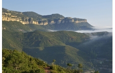 You can go cycling or hiking