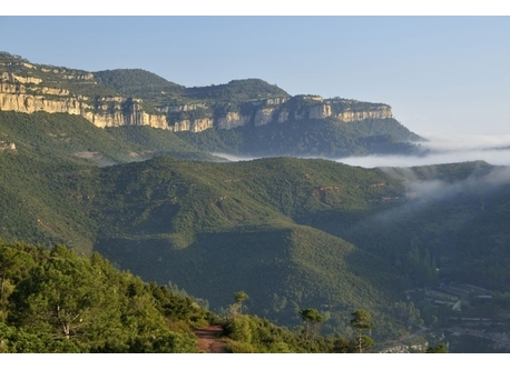 You can go cycling or hiking