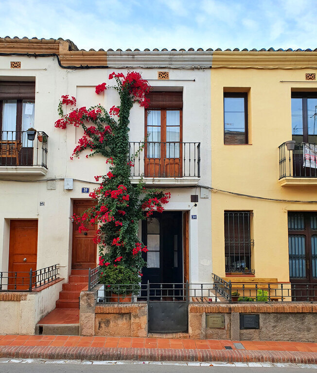 open for exchange AUGUST 2026