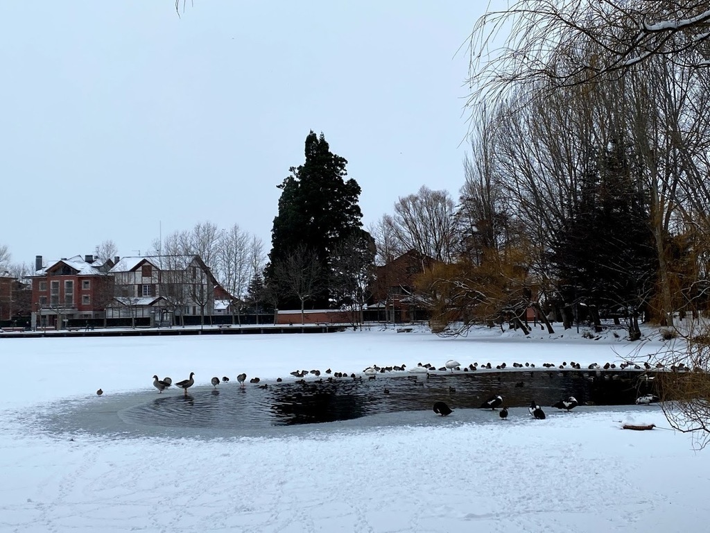 The Puigcerda lake in winter