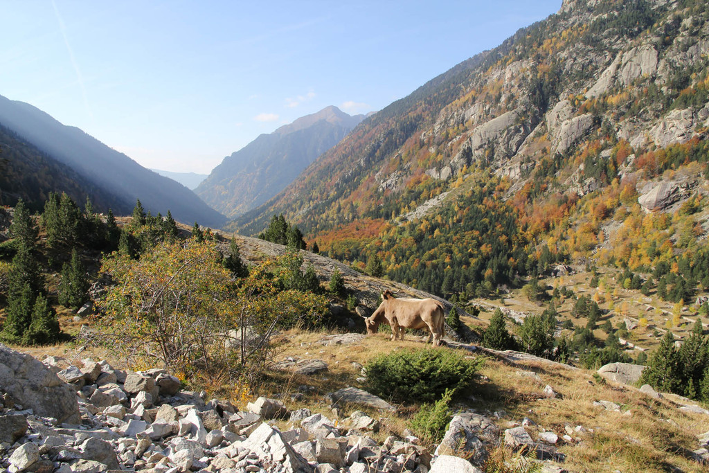 Paisaje de los alrededores
