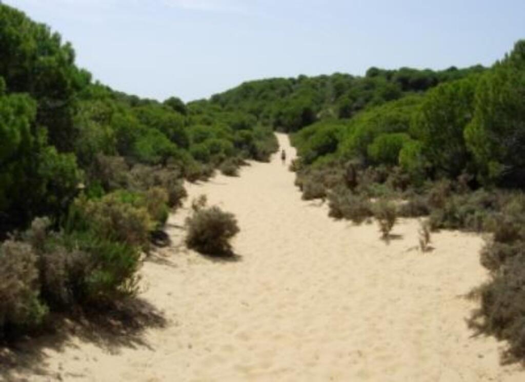 Sendero de la Laguna del Jaral/Laguna del Jaral trail