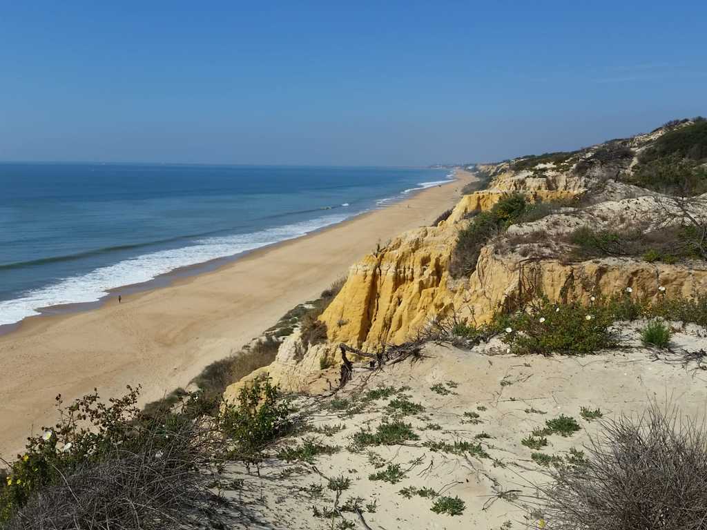 Acantilado del Asperillo/Asperillo cliff