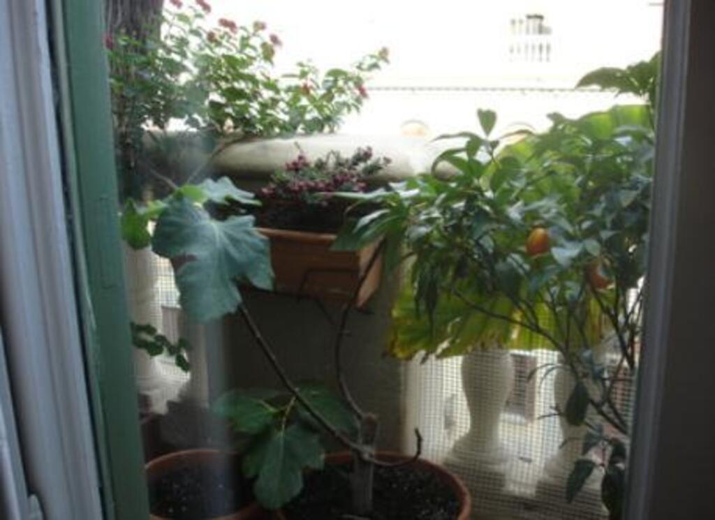 Minibalcony to Girona street