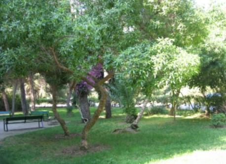 garden for residents