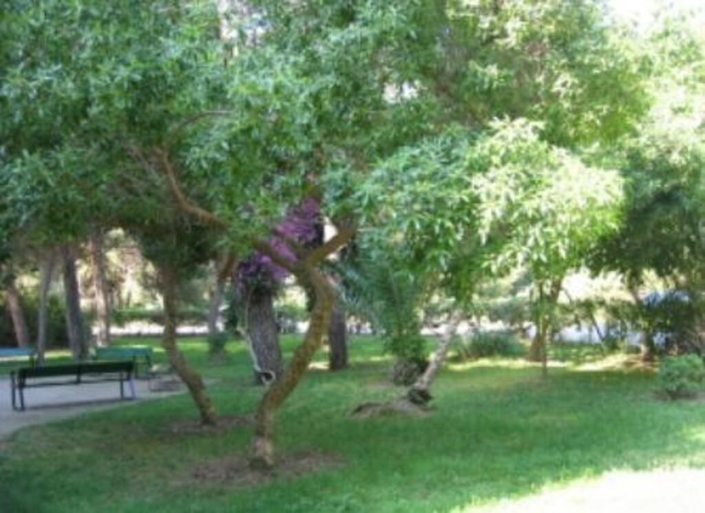 garden for residents