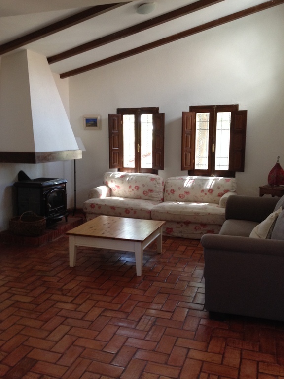 Living room in the country house