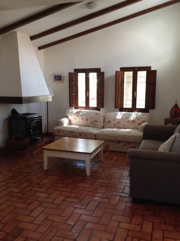 Living room in the country house