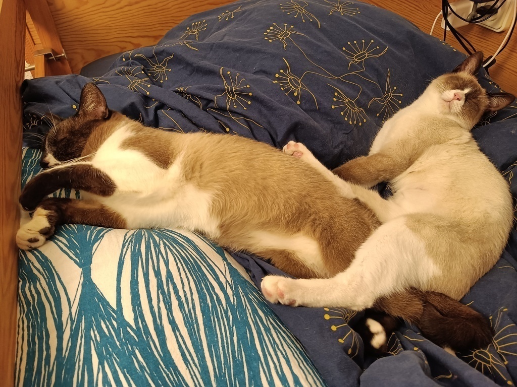 Frida and Bob will be staying with you.