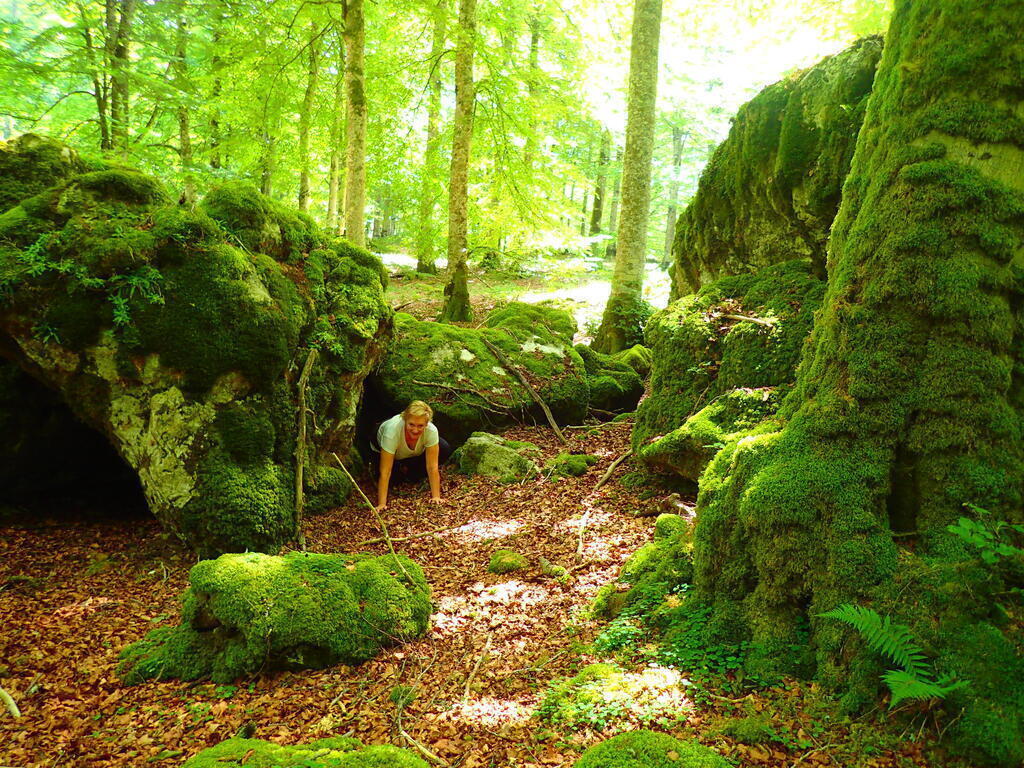 Adelaida en el bosque encantado de Urbasa