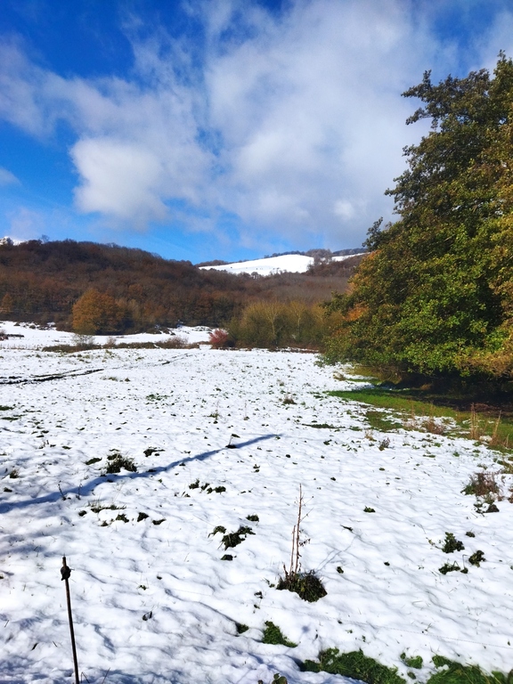 Urbasa,  invierno