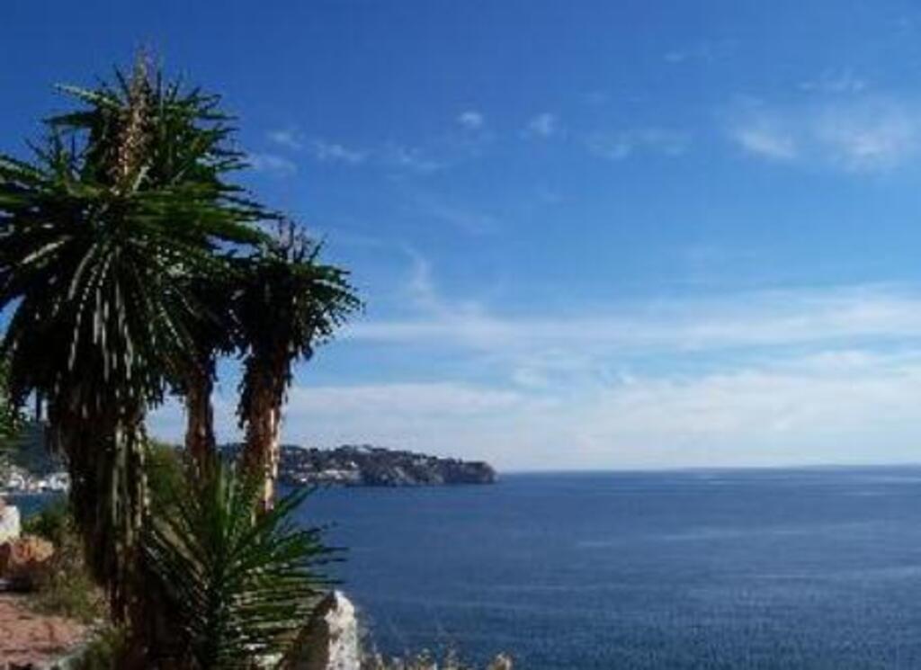 Vista desde el jardín.