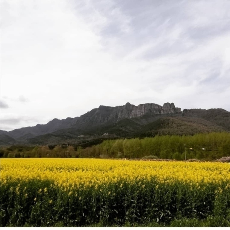 Puigsacalm, the highest mountain
