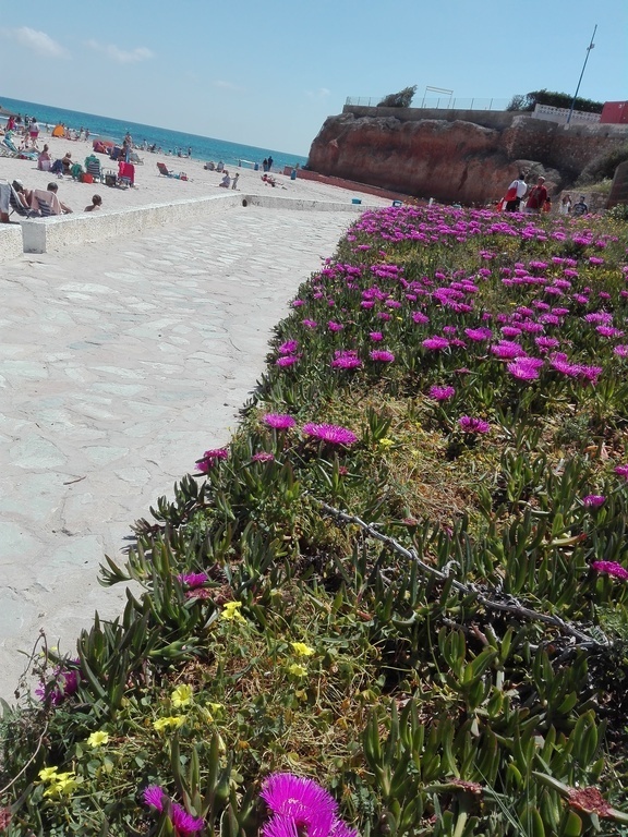 Paseo al borde de playas