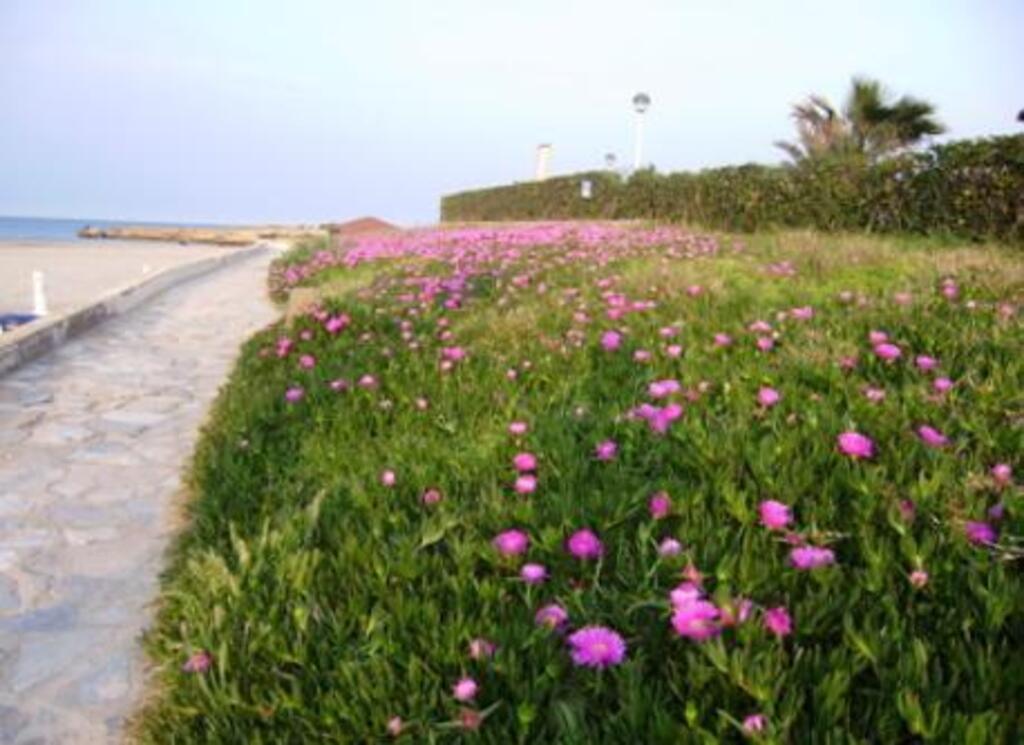Paseo al borde de playas