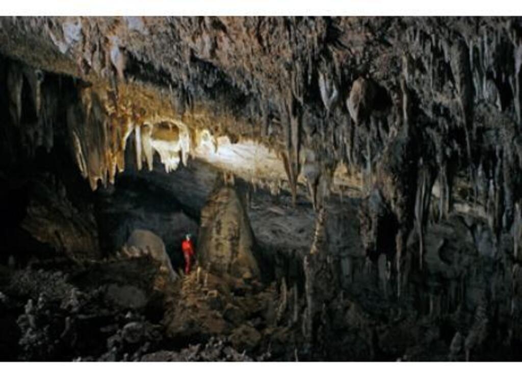Caves of Nerja
