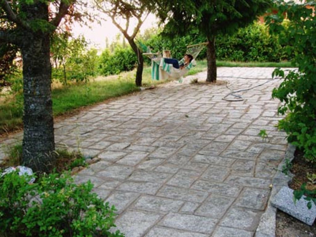 Detalle del jardin
