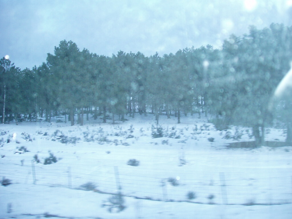 Paisaje de invierno