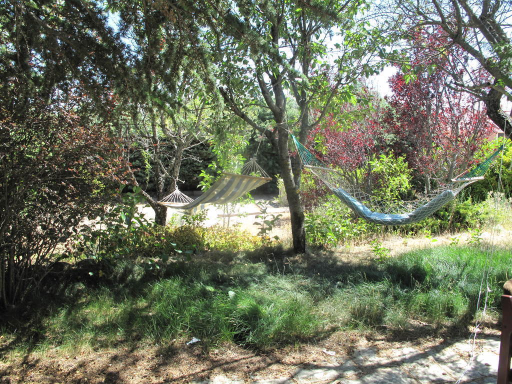 Relax en el jardin