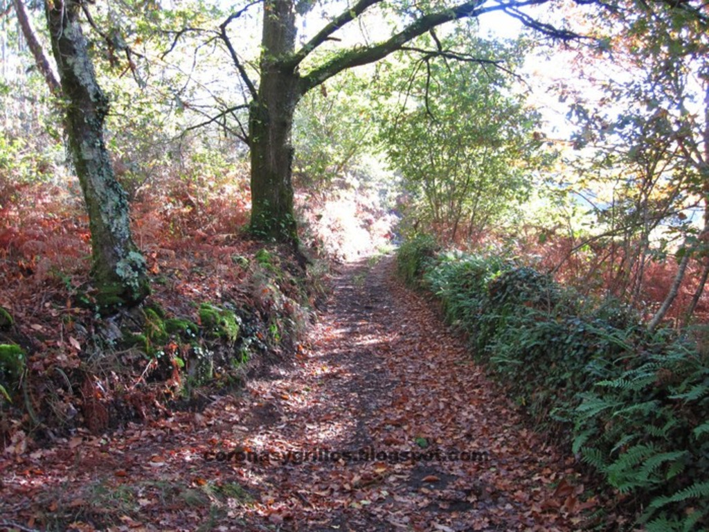 Hiking or biking trails