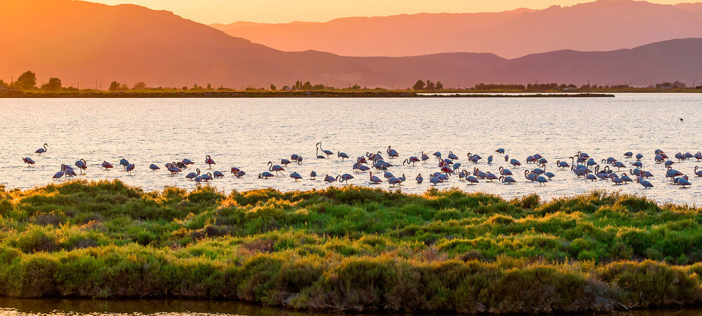 Parc Natural del Delta de l'Ebre
