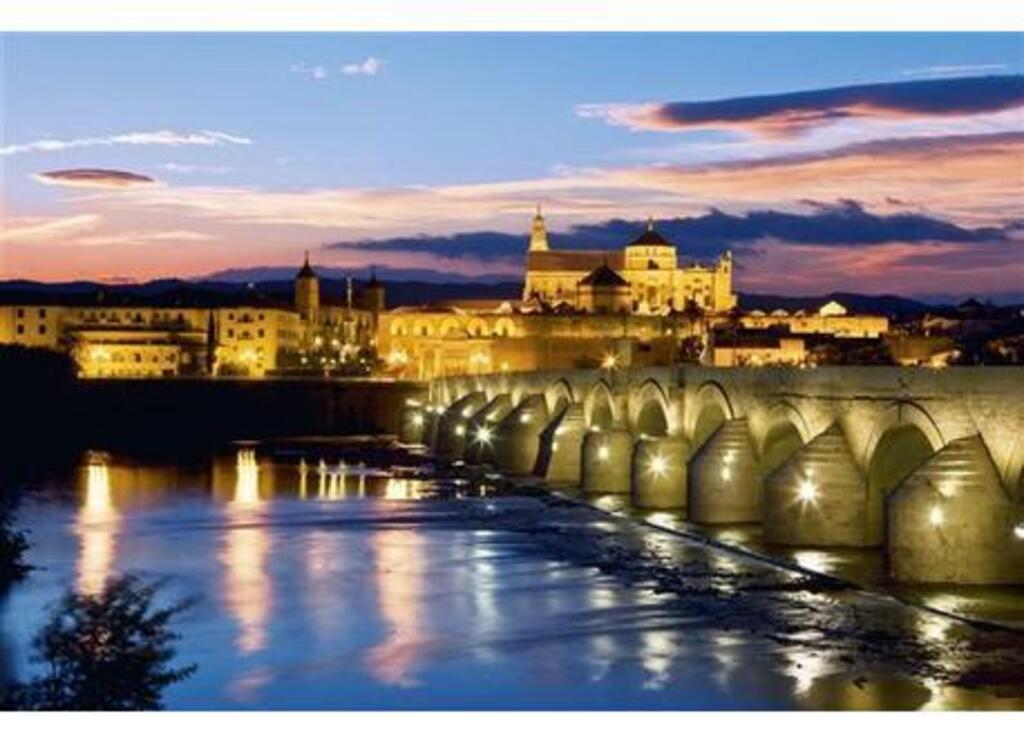 Córdoba roman bridge at night