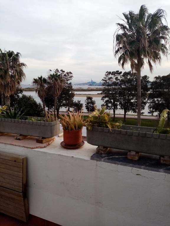 View from the terrace in Palmones