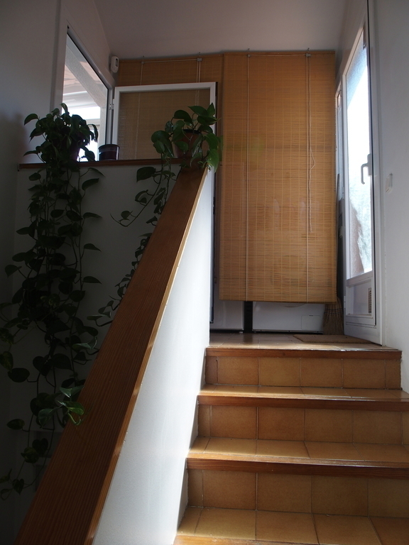 Stairs to the terraces