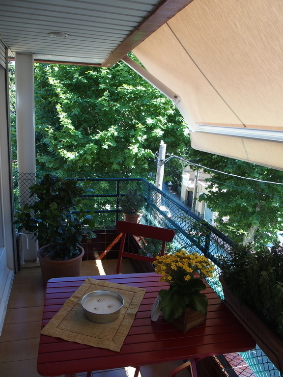 Dining Room Terrace (1st floor)