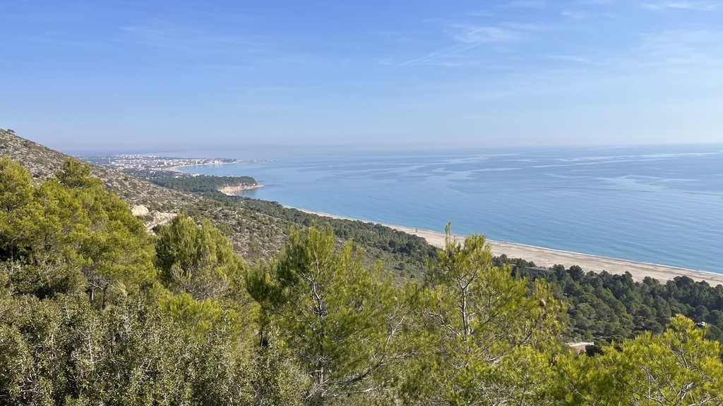 The town and its coastal area