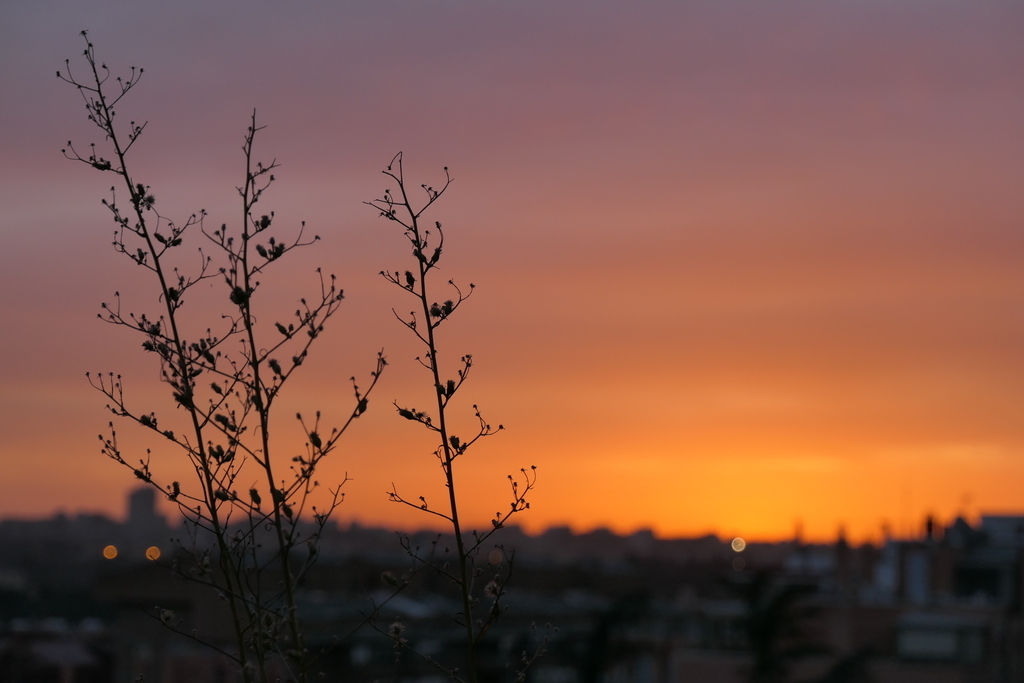 Sunset from the terrace