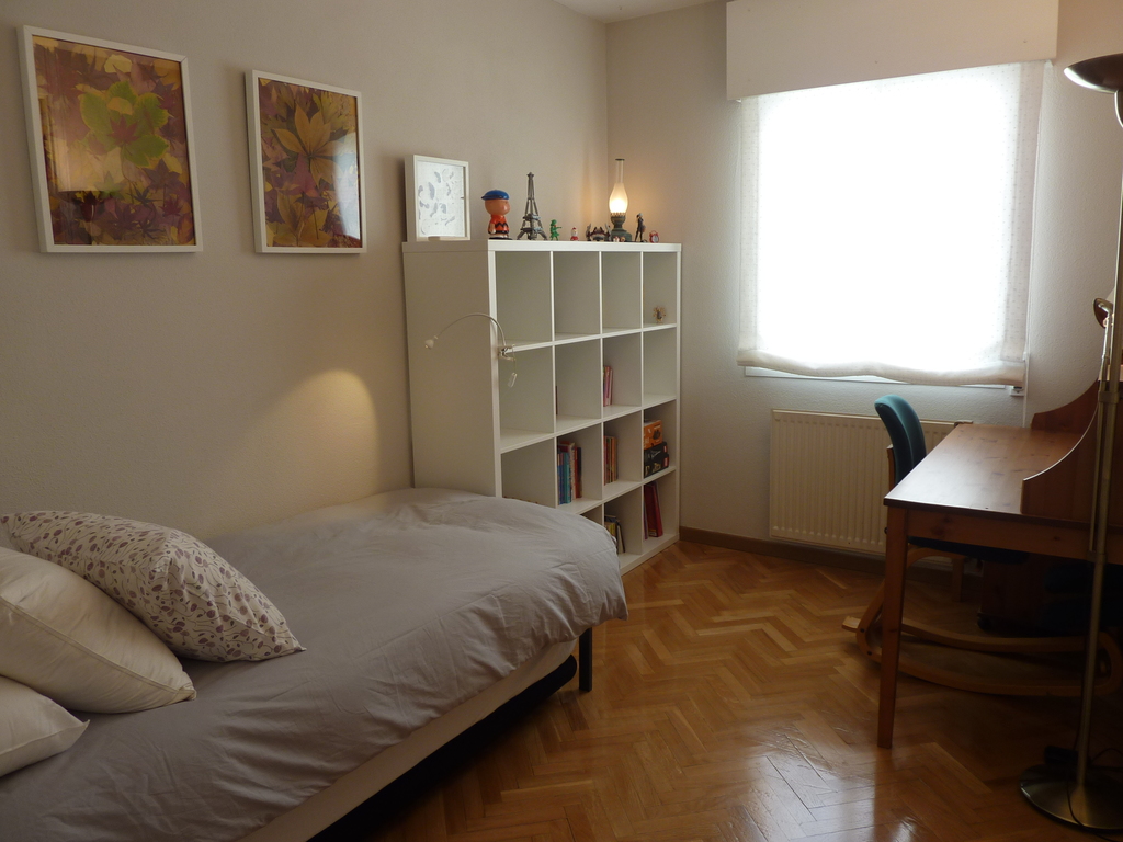 2nd bedroom (with 2 pull-out beds)