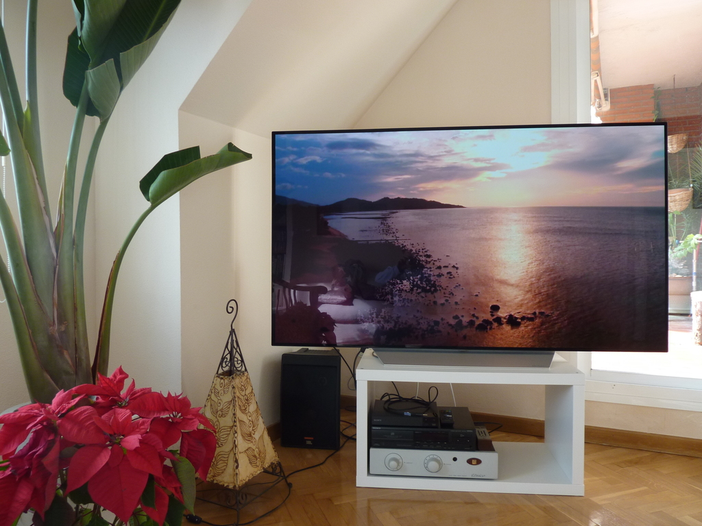 65 inches 4K OLED TV with Amazon Video