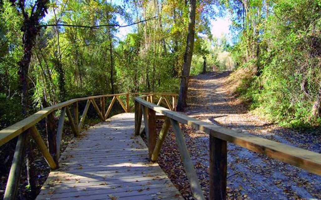 Hiking paths in the province 