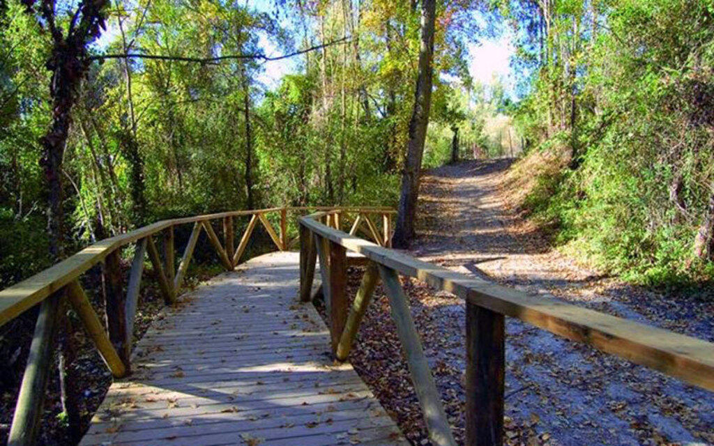 Hiking paths in the province 