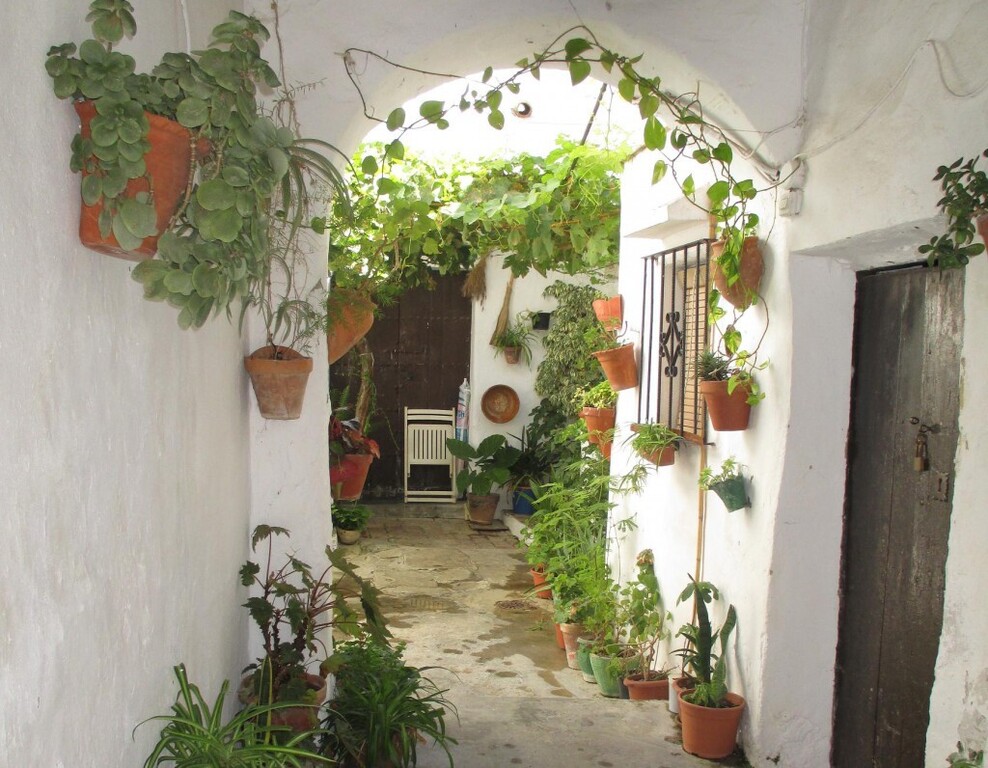 Vejer (town in the province of Cádiz)