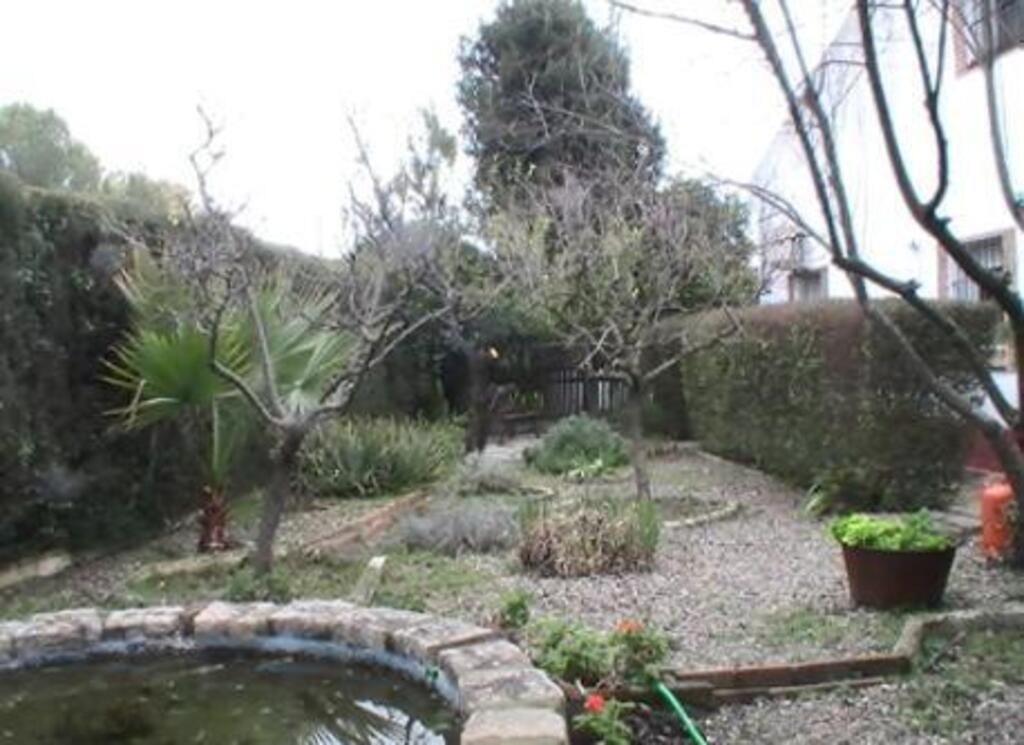 Front garden in autumn