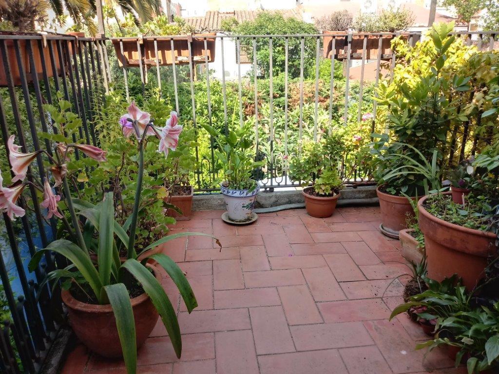 Back terrace in spring