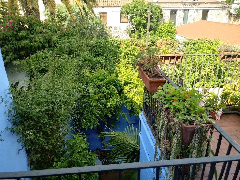 Back terrace in spring