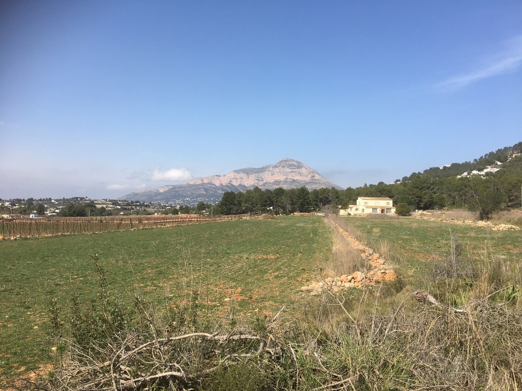 Lots of hikes in the local Granadella natural reserve, starting around the corner