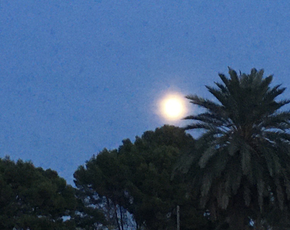 Full moon over Paradise 