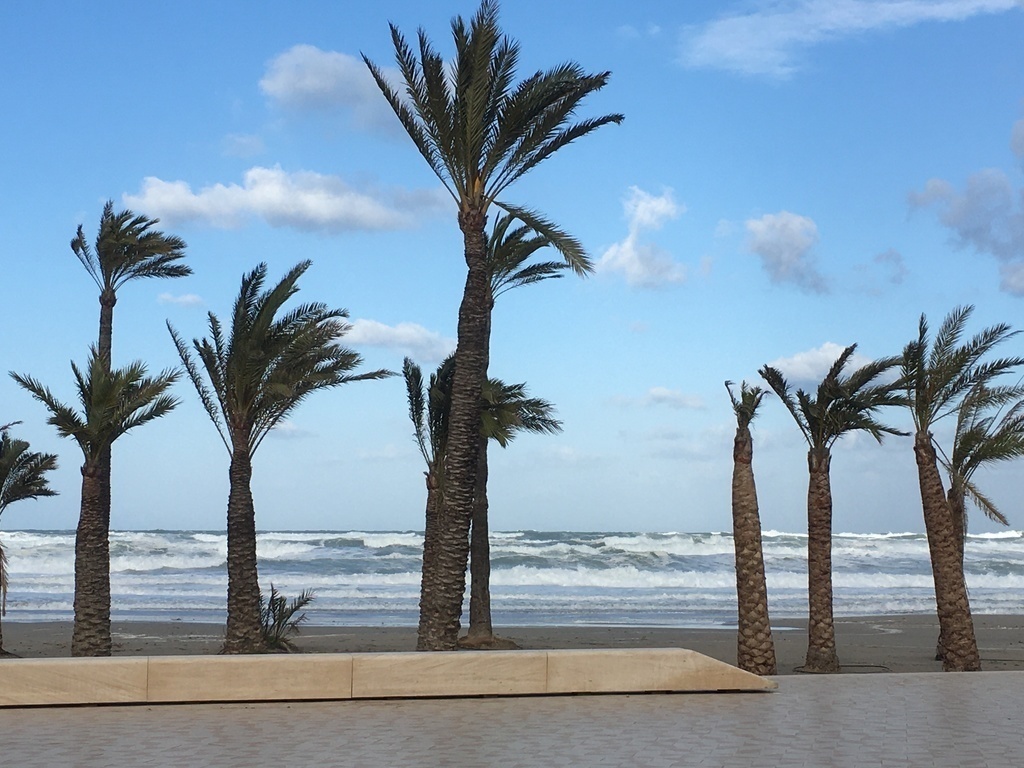 Arenal (sandy) beach