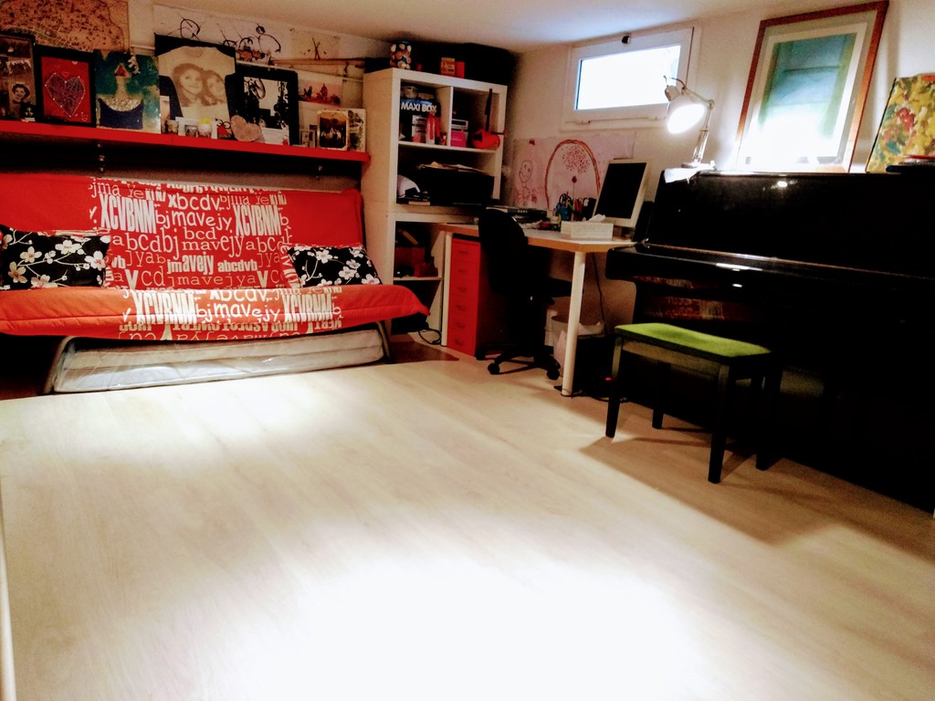 Downstairs Studio (guests room)