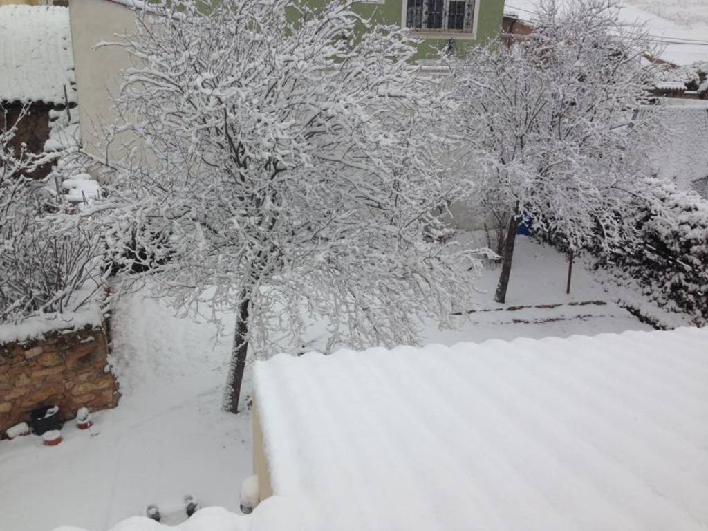 A veces nieva en Jábaga. Patio de atrás