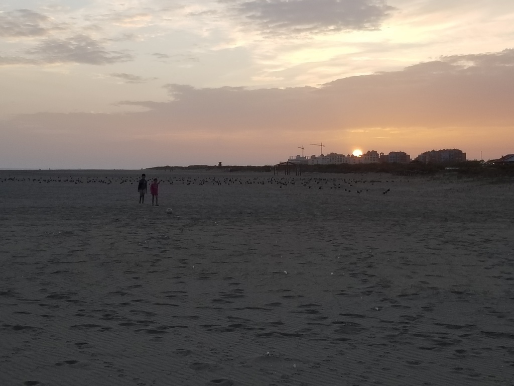 Playa