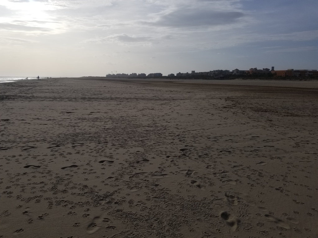 Playa