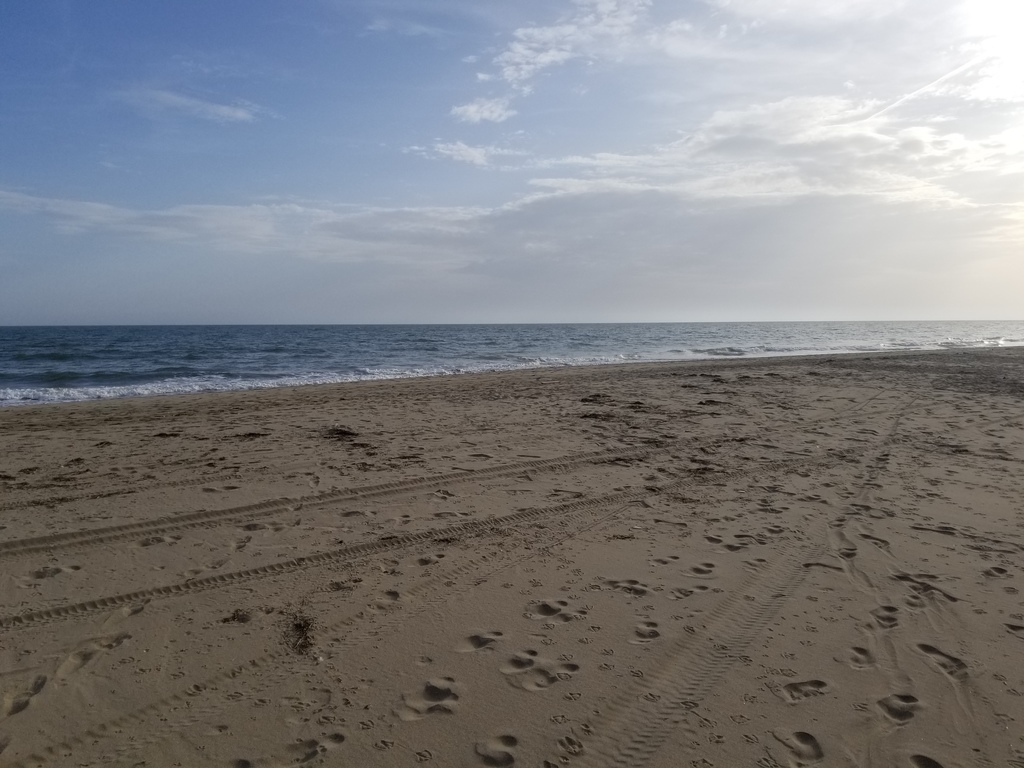 Playa